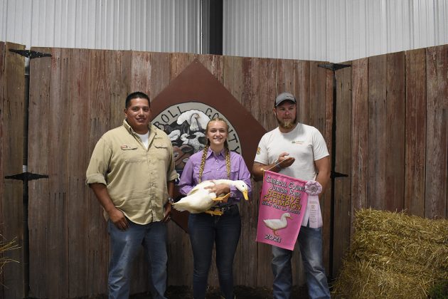 Reserve Champion Market Ducks
