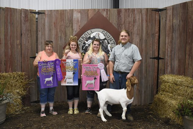 Reserve Champion Market Goat