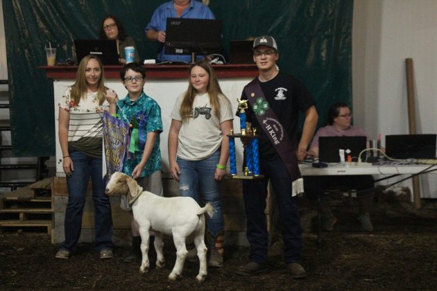 Reserve Champion Goat
