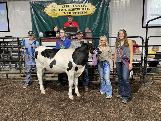 Reserve Champion Dairy Beef Feeder