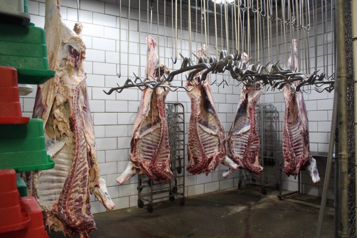 meat processing meat locker meat in hooks