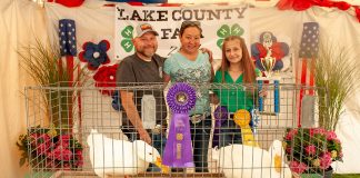 Grand Champion Ducks
