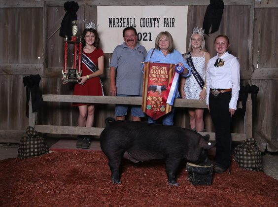 Reserve Champion Hog