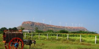 horse and buggy with wind turbines behind