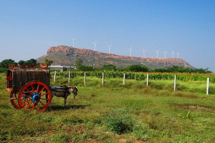 horse and buggy with wind turbines behind horse and buggy with wind turbines behind
