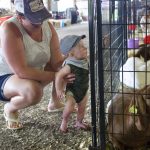 Fairgoers embrace traditions, try new things at Summit Co. Fair A woman and a child stand next to a goat pen at the fair.