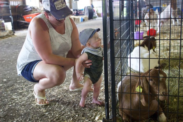 summit_fair_scenes_5 A woman and a child stand next to a goat pen at the fair.