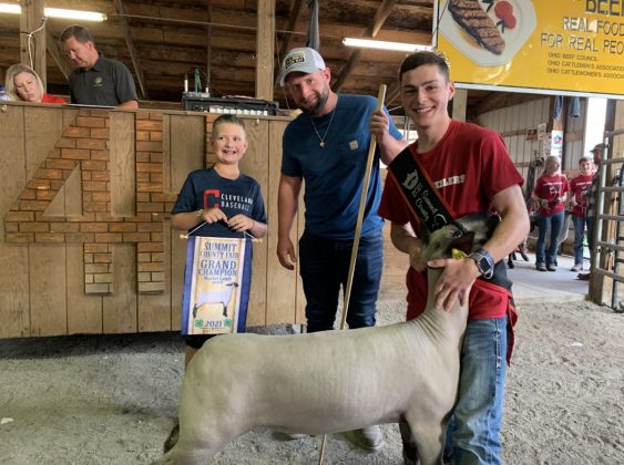 Grand Champion Lamb