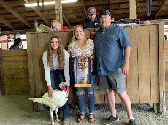 Grand Champion Turkey