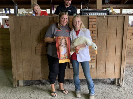 Reserve Champion Duck