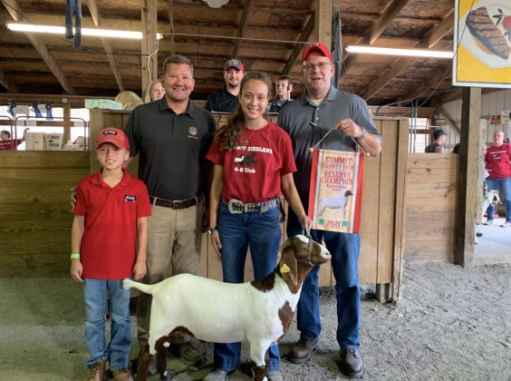 Reserve Champion Goat