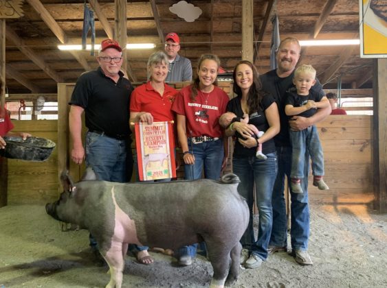 Reserve Champion Hog