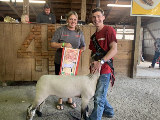 Reserve Champion Lamb