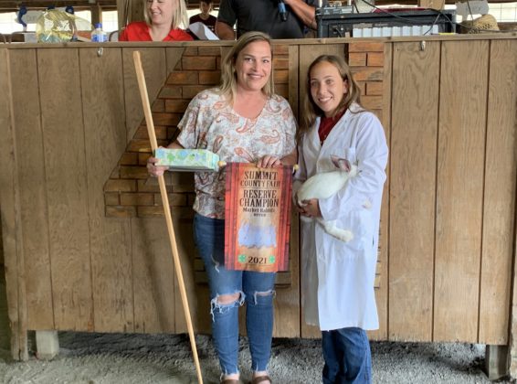 Reserve Champion Rabbit