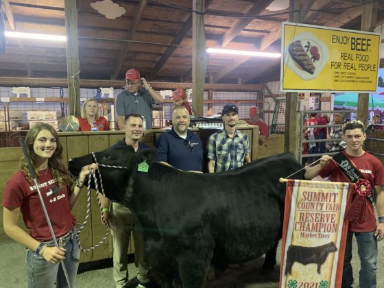 Reserve Champion Steer