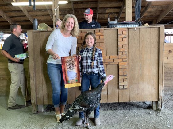 Reserve Champion Turkey