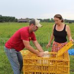 The buy local boom of the pandemic bottoms out in 2021 people putting chickens into crates