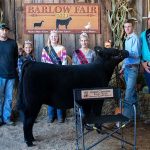 2021 Barlow Independent Fair sale Grand Champion Feeder Calf Heifer
