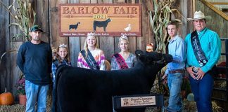 Grand Champion Feeder Calf Heifer