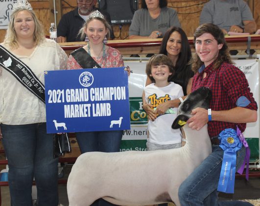 Grand Champion Lamb