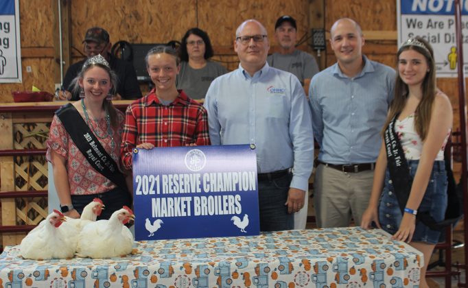 Reserve Champion Broilers