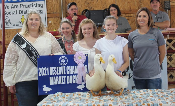 Reserve Champion Duck