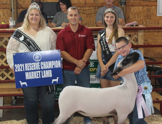 Reserve Champion Lamb
