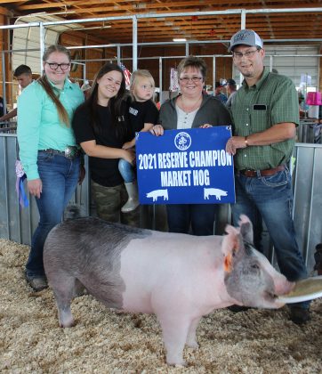 Reserve Champion Hog