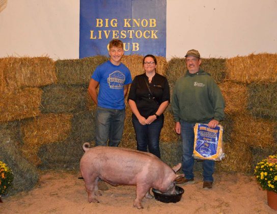 Reserve Champion Hog