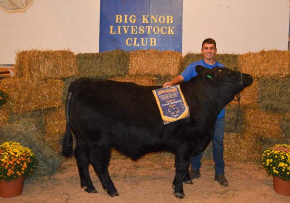 Reserve Champion Steer