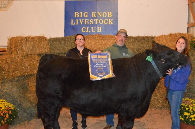 Grand Champion Steer