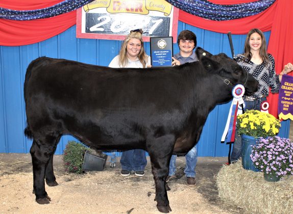 Grand Champion Market Steer