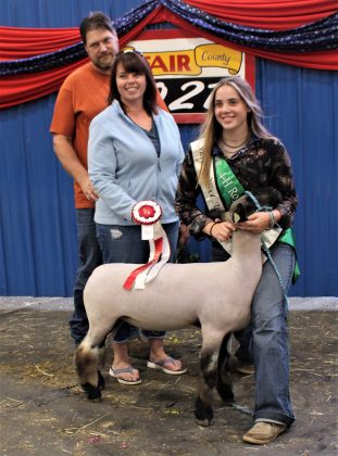 Reserve Champion Carcass Lamb