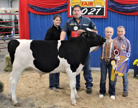 Reserve Champion Dairy Feeder