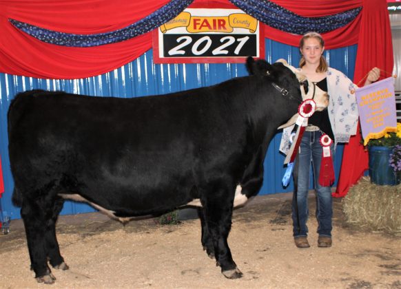 Reserve Champion Market Steer