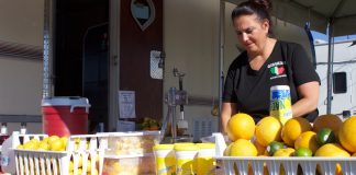 A woman sets up a concessions stand at the Canfield Fair.
