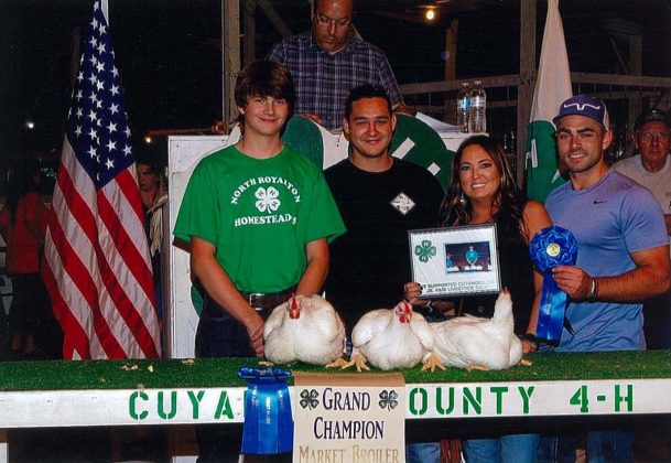 Grand Champion Chickens