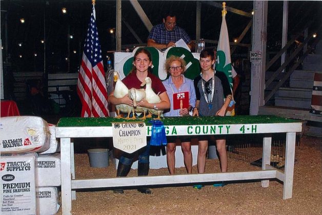 Grand Champion Ducks