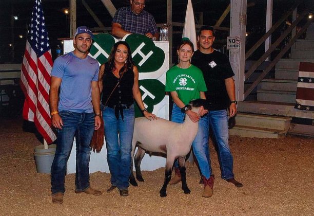 Grand Champion Lamb