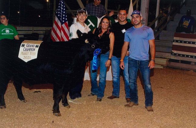 Grand Champion Steer