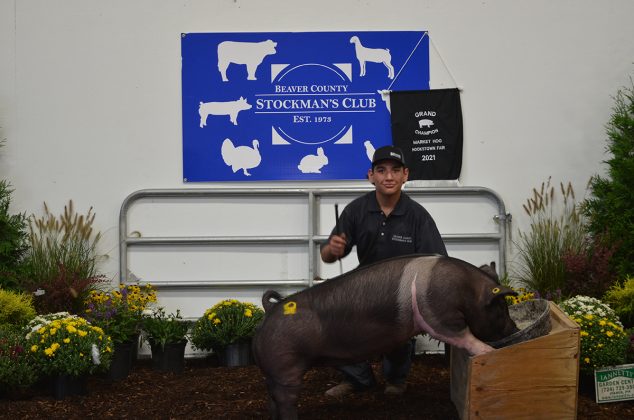 Grand Champion Hog