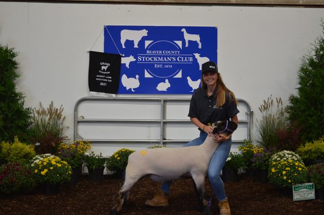 Grand Champion Lamb