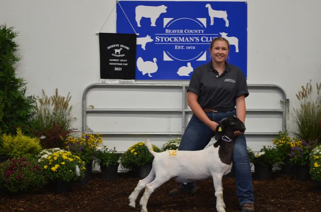 Reserve Champion Goat