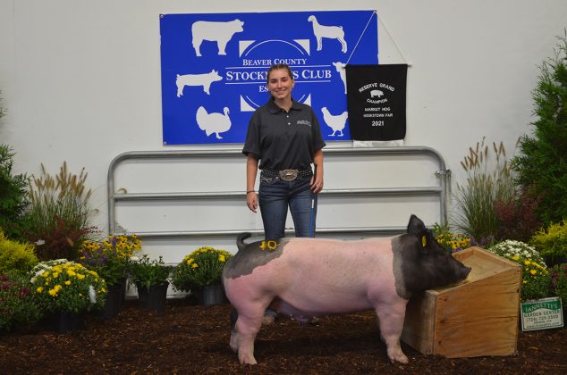 Reserve Champion Hog