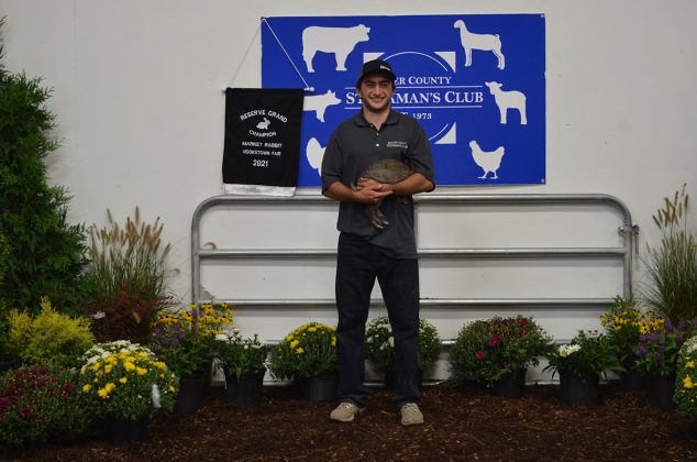 Reserve Champion Rabbits