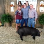 people standing with pig