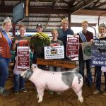 Sale record set for hog to benefit King family at Jefferson County Fair Reserve Champion Hog