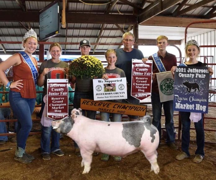 Reserve Champion Hog