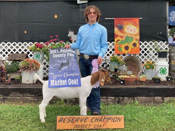 Reserve Champion Goat