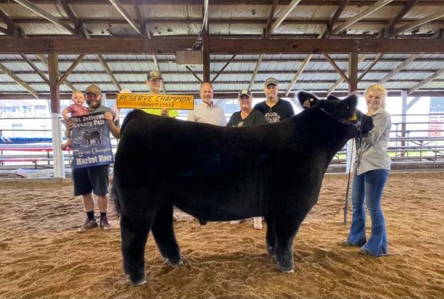 Reserve Champion Steer